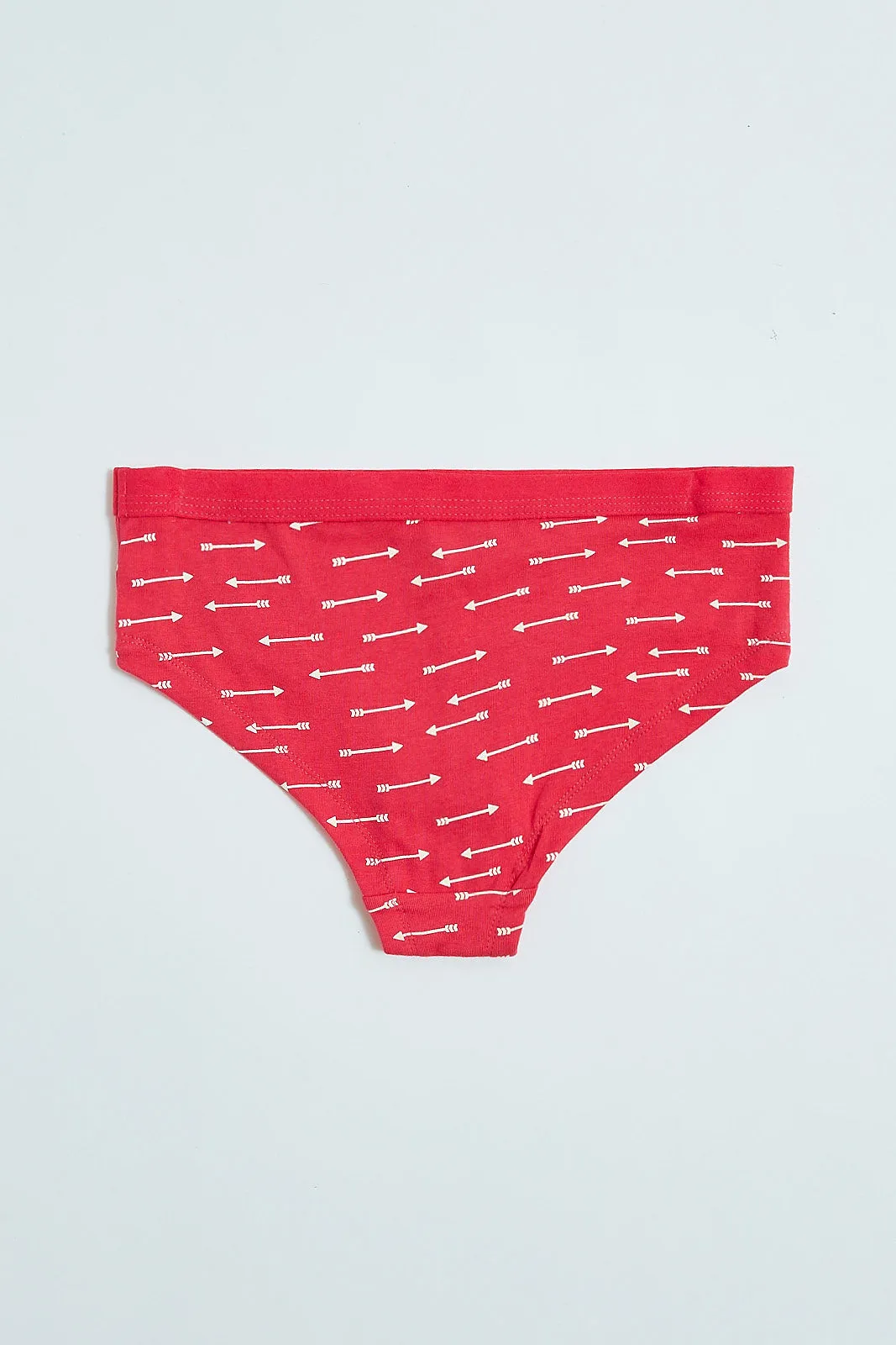 Assorted Hipster Brief (2-Pack)