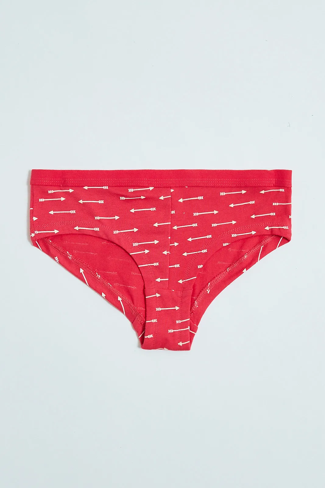 Assorted Hipster Brief (2-Pack)