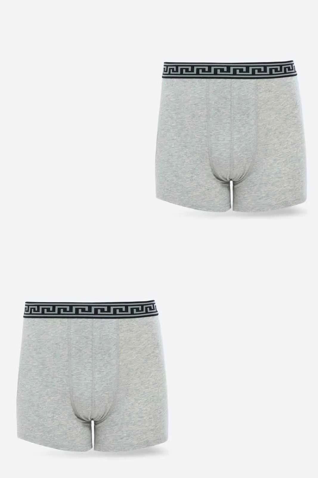 Men Grey Hipster Brief Set (Pack of 2)