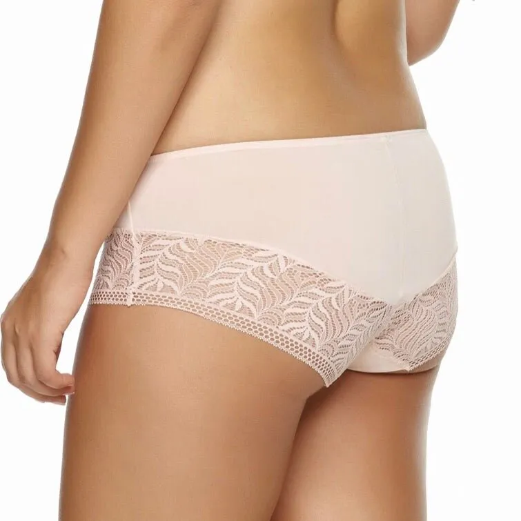 Paramour - Carolina Brief - More Colors