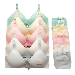 Teenage Underwear Sets Young Girls Development Training Bra Wireless Student Cotton Cartoon Lace Bow Bras Panties Sets GB06